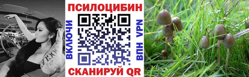 Купить где  Белый  Псилоцибиновые грибы ЛСД 